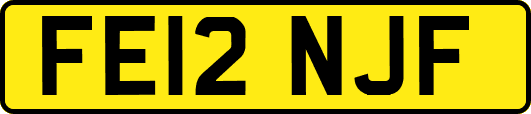 FE12NJF
