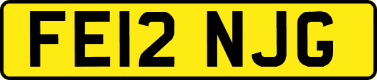 FE12NJG
