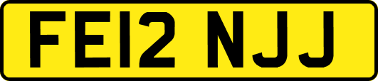 FE12NJJ