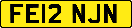 FE12NJN