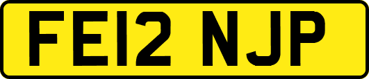 FE12NJP
