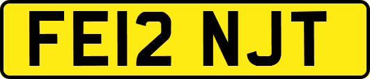 FE12NJT