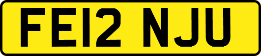 FE12NJU