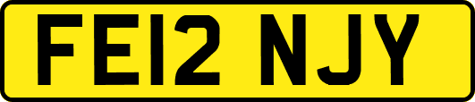 FE12NJY