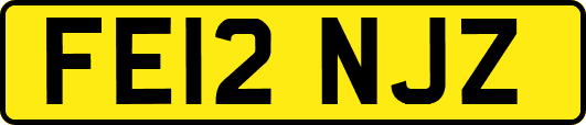 FE12NJZ