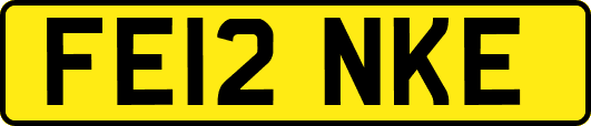 FE12NKE
