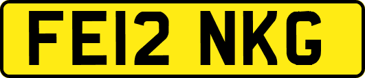 FE12NKG