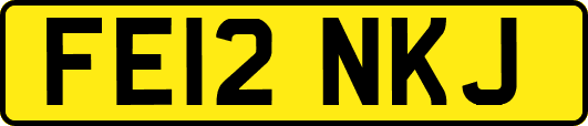 FE12NKJ