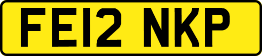 FE12NKP