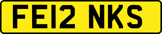 FE12NKS