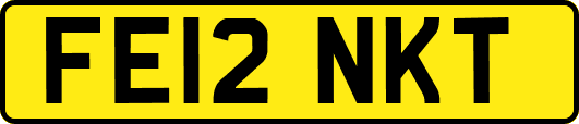 FE12NKT