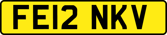 FE12NKV