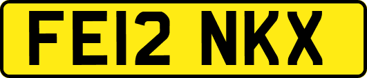 FE12NKX
