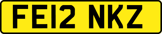 FE12NKZ