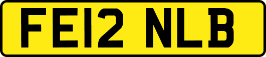 FE12NLB