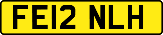 FE12NLH