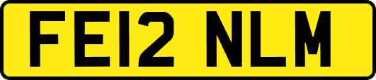 FE12NLM