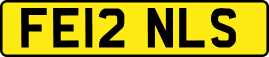 FE12NLS