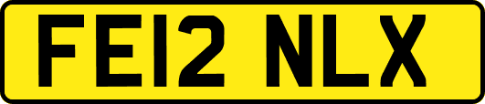 FE12NLX