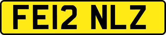FE12NLZ