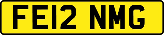 FE12NMG