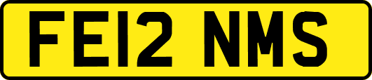 FE12NMS