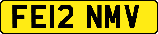 FE12NMV