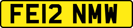 FE12NMW
