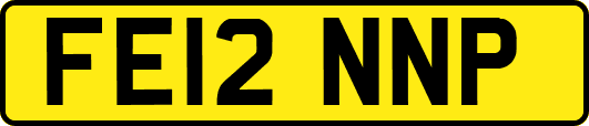 FE12NNP