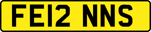 FE12NNS