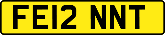 FE12NNT