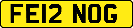 FE12NOG