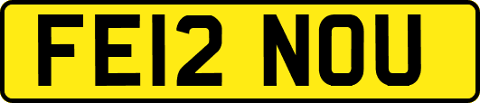 FE12NOU