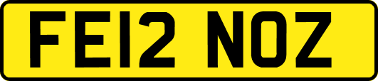 FE12NOZ