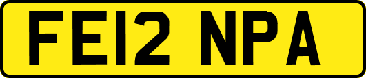FE12NPA