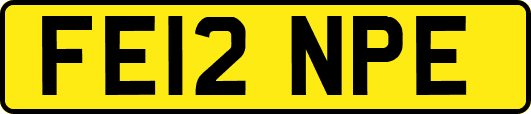 FE12NPE