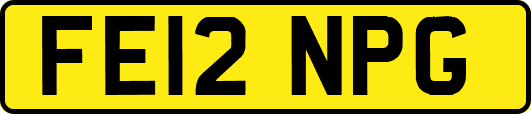 FE12NPG