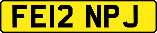FE12NPJ