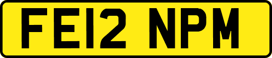 FE12NPM