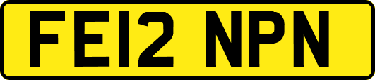 FE12NPN