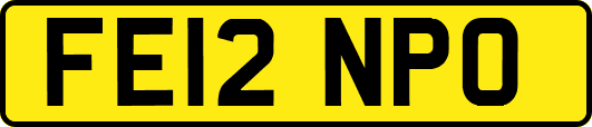 FE12NPO