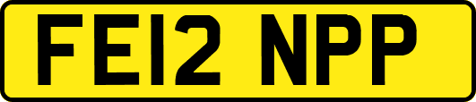 FE12NPP