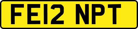 FE12NPT