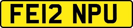 FE12NPU