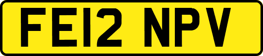 FE12NPV