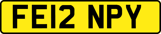 FE12NPY