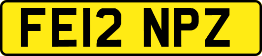 FE12NPZ