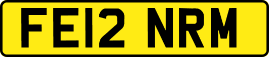FE12NRM