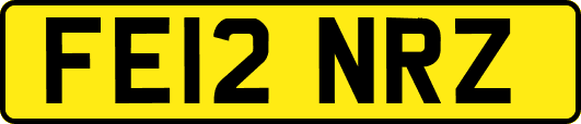 FE12NRZ