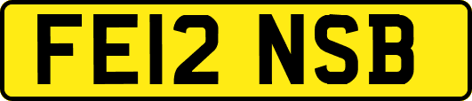 FE12NSB